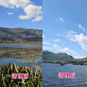 洱?？蛻艉此萸謇硇Ч故?></div>
														<div   id=