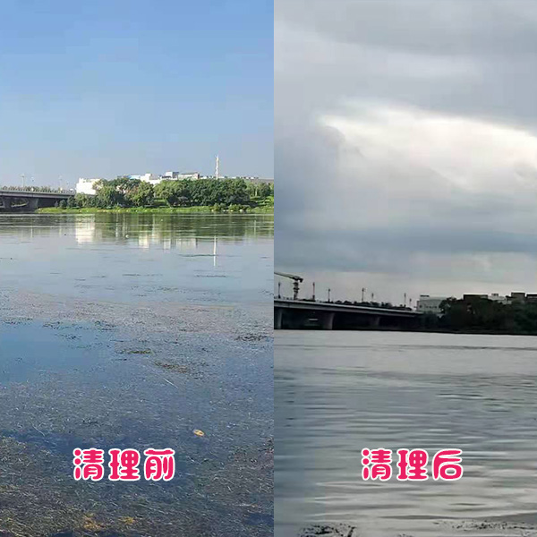 遼陽市客戶太子河水草清理效果展示 遼陽市客戶太子河水草清理效果展示