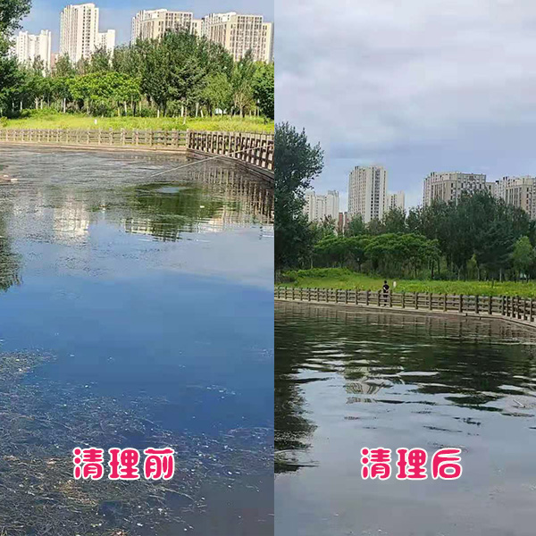 遼陽市客戶太子河水草清理效果展示 遼陽市客戶太子河水草清理效果展示