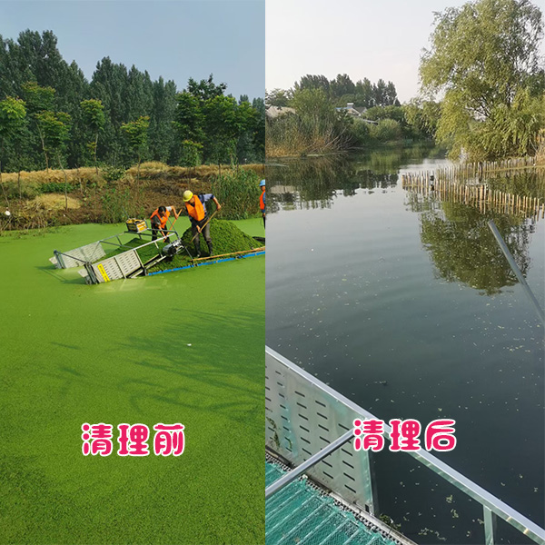 江蘇省常州市新北區(qū)河道浮萍清理效果展示 江蘇省常州市新北區(qū)河道浮萍清理效果展示